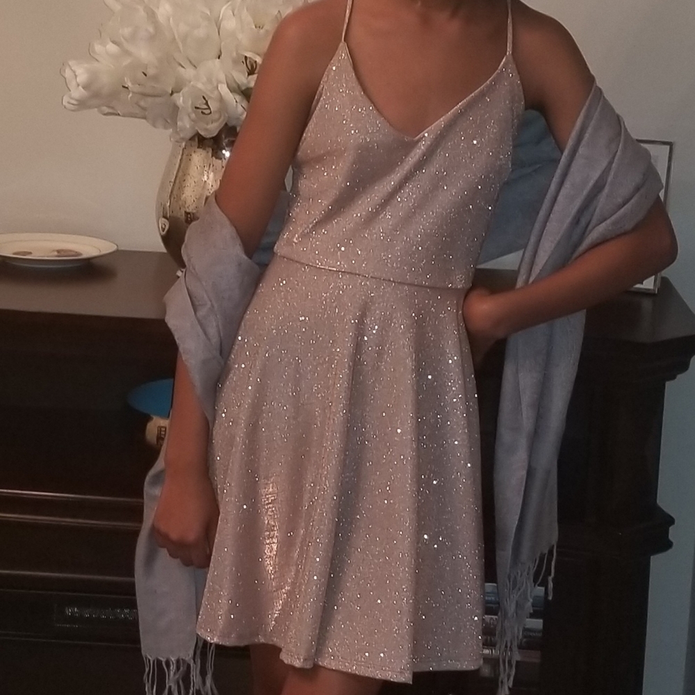 Winsor sparkling blush dress